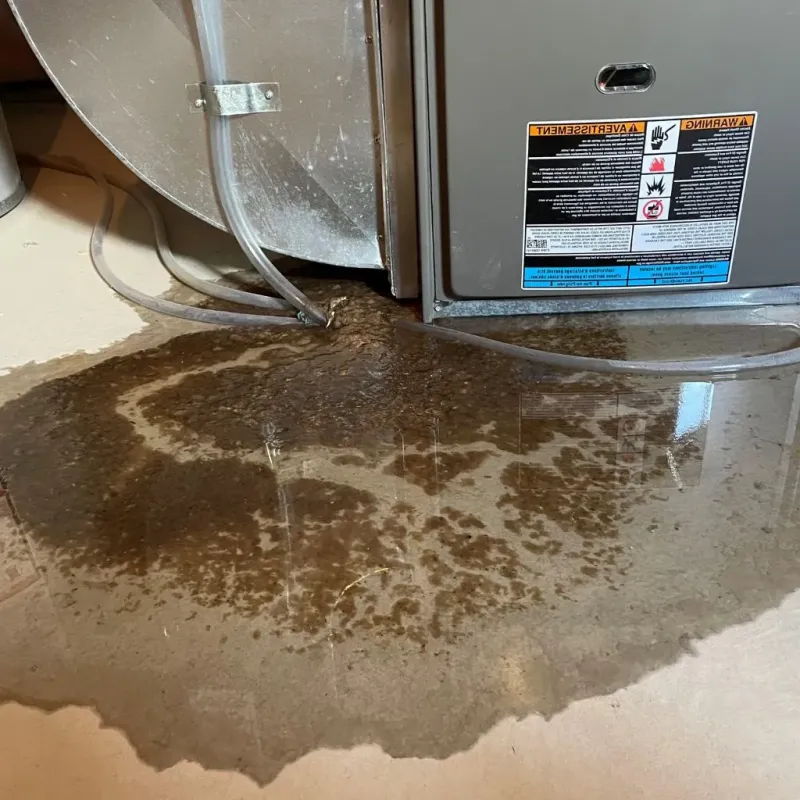 Pipe Burst and Leak Restoration in Hudson Falls, NY